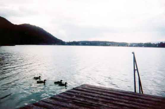 Klopeinersee